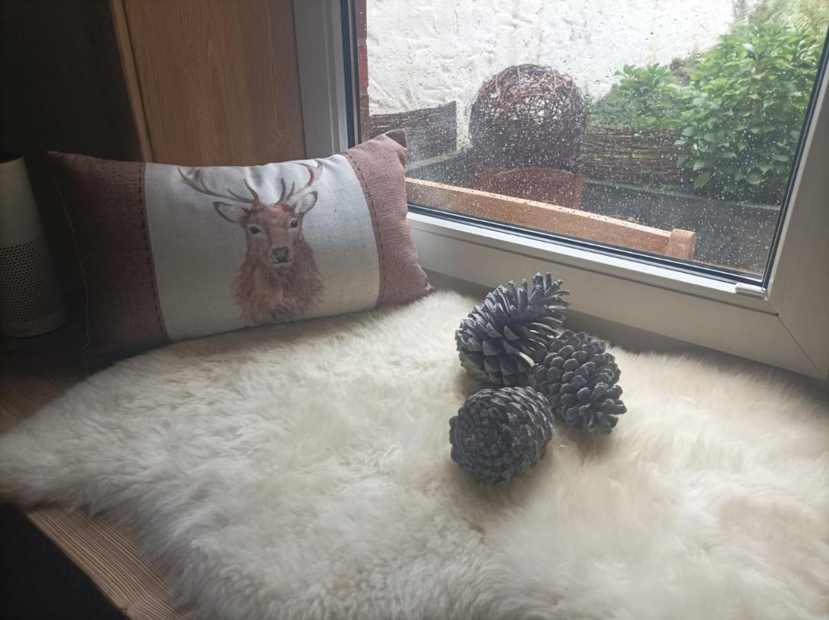 Harzglanz Fewo'S Kuschelbude Braunlage Dış mekan fotoğraf